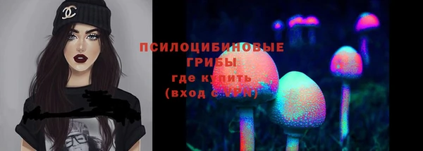 мяу мяу мука Алзамай