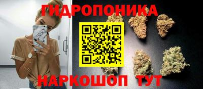 тгк Аша