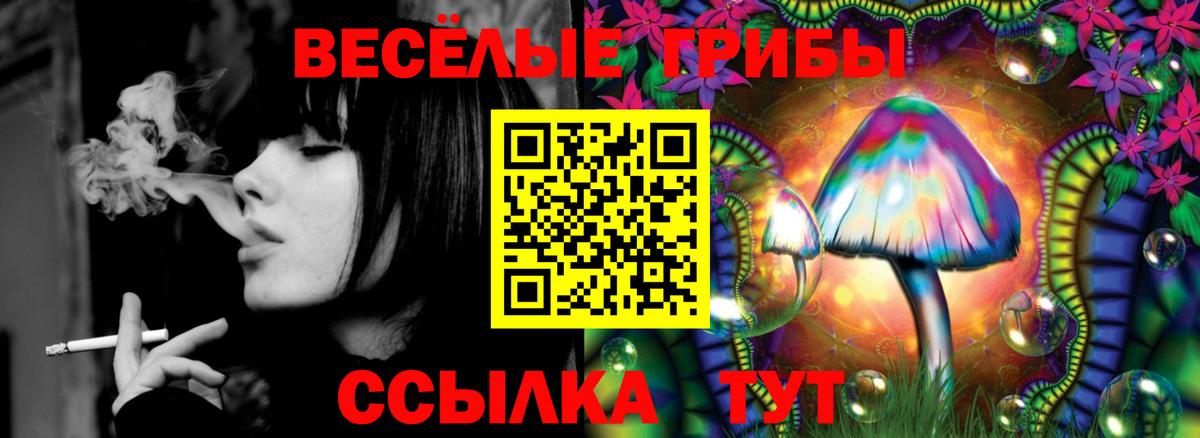 Галлюциногенные грибы прущие грибы Бийск